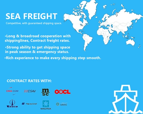 Shanghai Ocean Freight Rates to Acajutla or El Salvador Container Sea Freight