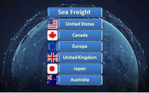 International Sea Shipping Delivery Service Matson Ocean Sea Freight From China to USA Forwarding Agent Amazon Fba