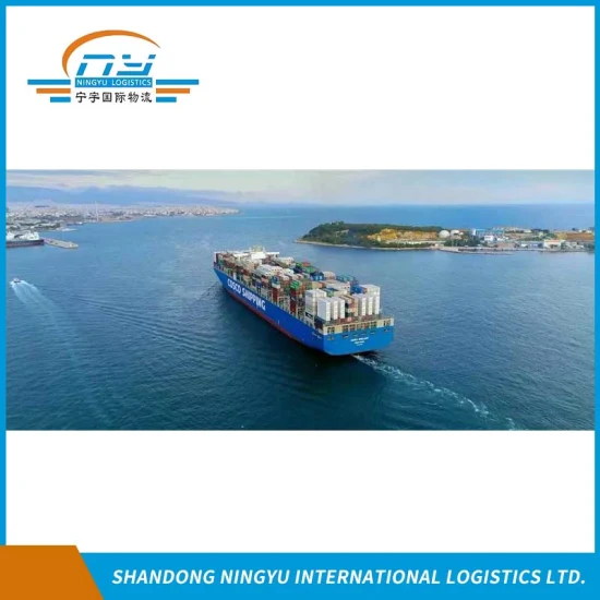 Специалист DDU DDP по морским перевозкам из Китая в Чехию